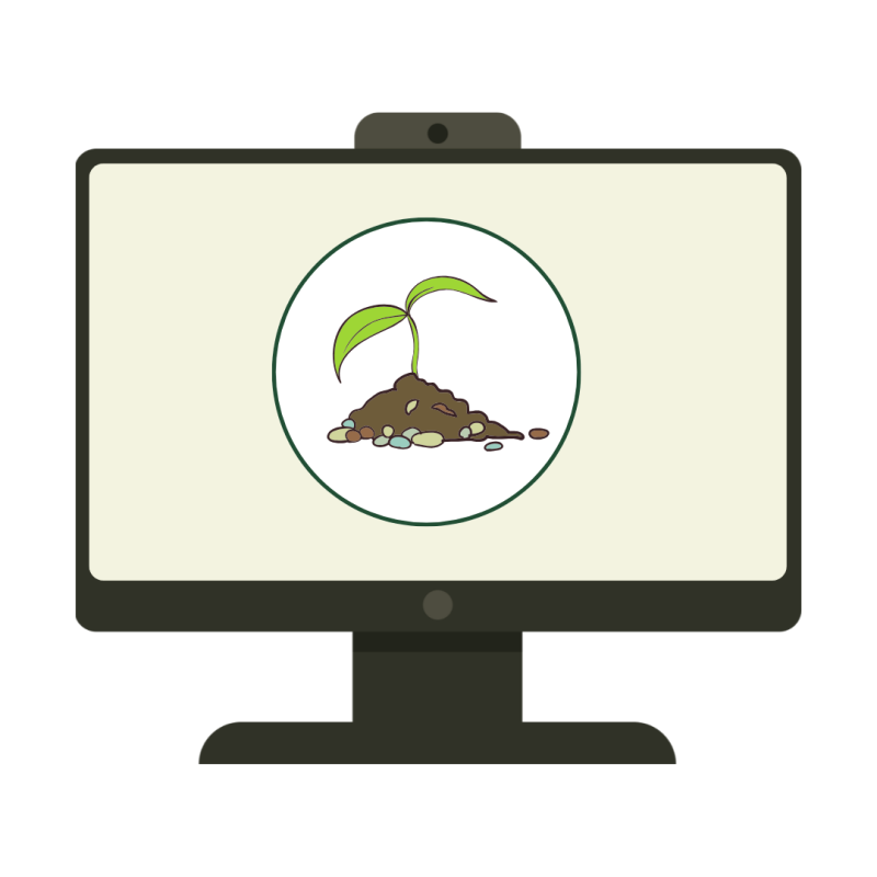 Program Hrană Vie & Raw