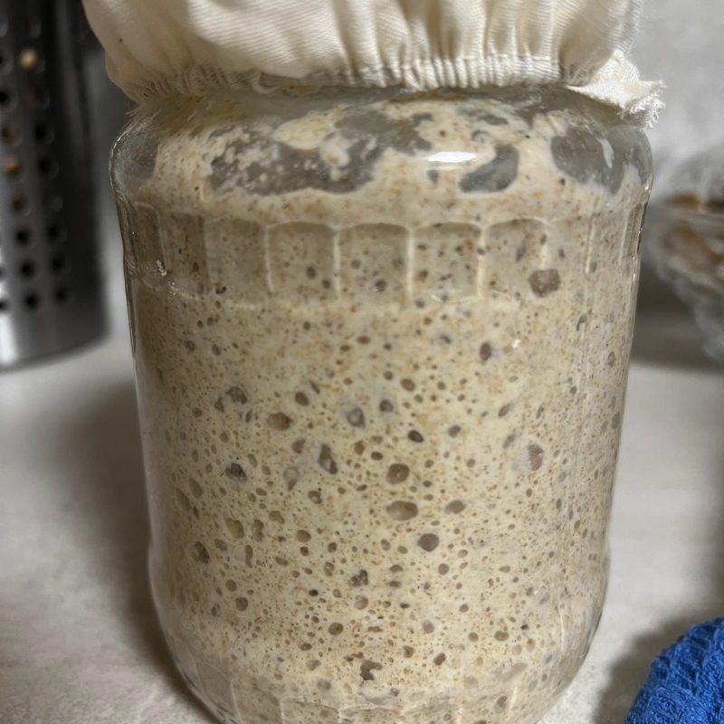 Curs Maia de la Zero